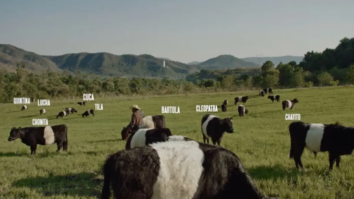 Imagen del artículo